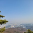 야호맥주