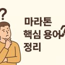 넷타임 이미지