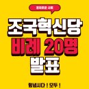 조국혁신당 비례 후보 20명 기대됩니다! 민주당원! 이미지