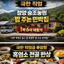 송조농원 | 극한 직업: 청양 송조농원 밥 주는 민박집, 1박 6식 체험기