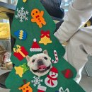 니멍내멍 이미지