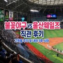불꽃야구 vs 울산 웨일즈 직관 후기 (feat. 고척돔 주차 및 내야 3루 시야)