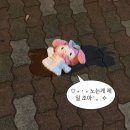 썬 하우 | 비 오는 제주도와 함께하는 골프여행 06.27-29 (롯데스카이힐 cc, 우리들 cc)