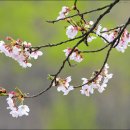 청려수련원 이미지