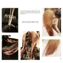 아리아스헤어 이미지