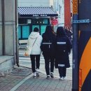 황금소나무학원