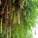 문평119안전센터 이미지