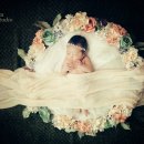 강서구-50 이미지