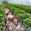 김천부곡초등학교 유치원 이미지