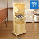 내 마음의 고요를 위한 컬러인문학 | 고든램지와 호랑이, 그리고 문밀감의 위험한 동거 일기