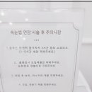 더뷰티브로우