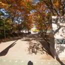 신원인조잔디구장 이미지