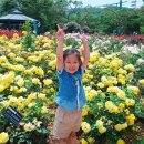 한샘어린이집 이미지