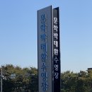 미지헤어샾 - 부평구 | 인천문학다이빙 NASE KOREA / 스킨스쿠버 체험 다이빙 / 문학 박태환수영장 스쿠버다이빙