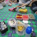 [2010.6.2] 샤샤와 함께한 보라매 소풍 후기-부제: 47명의 미소 이미지