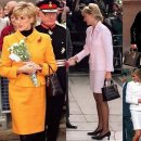 레이디올 이미지