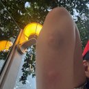 멍야미 | You Love🇪🇺🇪🇺 [🇩🇪🇫🇷🇮🇹🇦🇹]