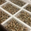 신일회수산 이미지