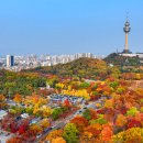 상동 469 이미지