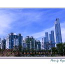 한강 산책 이미지