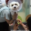 토닥토닥동물병원 이미지