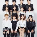 K-타이거즈 이미지