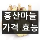 홍산농장 | 홍산 마늘 가격 효능 및 부작용 고르는 방법 총정리