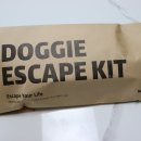 바바휘트니스 이미지