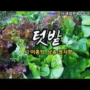 텃밭 / 시 이종억 / 낭송 정지향 / 사단법인 종합문예유성 우수시 선정 / 영상제작 서미영 이미지