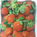 럭키세븐당구장 이미지