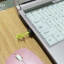 Herb PC 네이버블로그