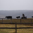 카우보이목장 이미지