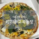 거제 리미팜 교육농장 재방문 후기 (feat. 봄나물 피자 만들기)