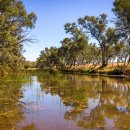 CW-1816-01 이미지