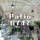 파티오6747 | 김해봉황동카페, 파티오(patio) 6747 카페 방문후기