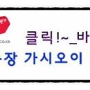 종진농장 네이버블로그
