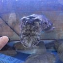 여수밤바다(주) 이미지