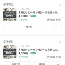 혼자멍냥 이미지