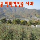 얼음골이야기 이미지