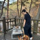 청계동솔바람야영장 이미지