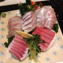 대구성서 도톤보리 | 대구맛집 성서 모다아울렛 맛집 도톤보리회초밥