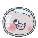 경주생막창 - 창원시 성산구 | 경주생막창