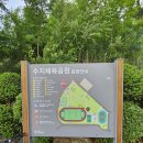 수지체육공원(인라인) | 수지체육공원 시설안내 테니스장, 축구장, 인라인스케이트장
