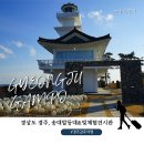 빛소리 | 경주 가볼만한곳 추천, 감포항 송대말등대와 빛 체험전시관 솔직후기
