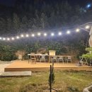 봉길리 | 감포 어촌 정주행 1주일 체류형 프로그램 체험 후기