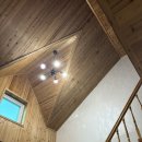 퍼니멍멍 장미애견펜션 | [반려견과 함께 가평여행] 가평 퍼니멍멍장미애견펜션