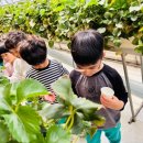 아이보듬어린이집 이미지