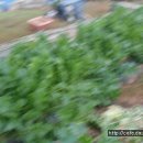 만능효소 이미지