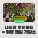 파마트열린약국 | 아기랑 나트랑 여행 중 급 들렀는데… 롯데마트 골드코스트점 기대 이상 후기!