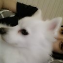 우리는식구